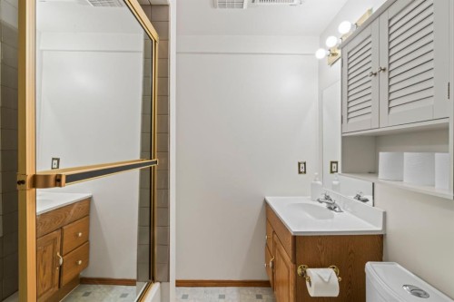 87 Applefield Close Se, Calgary, AB - Indoor Photo Showing Bathroom