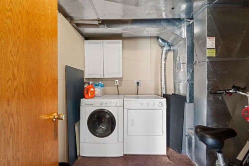 87 Applefield Close Se, Calgary, AB - Indoor Photo Showing Laundry Room