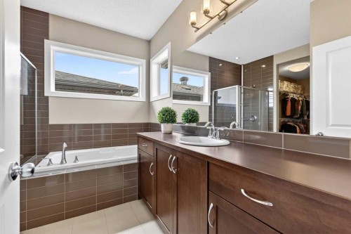 28 Walden View Se, Calgary, AB - Indoor Photo Showing Bathroom