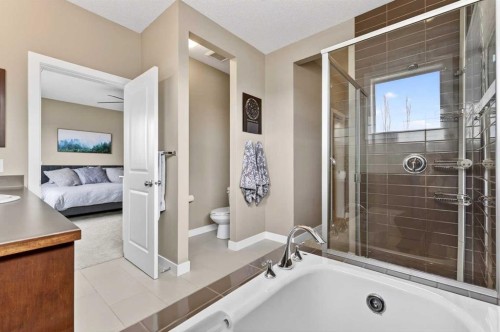 28 Walden View Se, Calgary, AB - Indoor Photo Showing Bathroom
