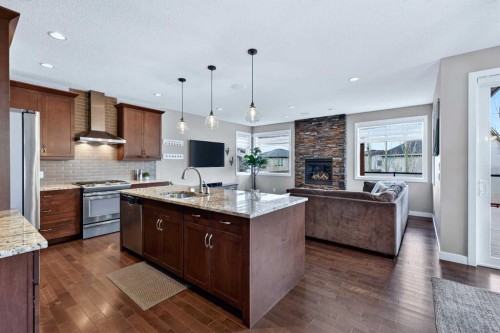 28 Walden View Se, Calgary, AB - Indoor Photo Showing Kitchen With Fireplace With Upgraded Kitchen