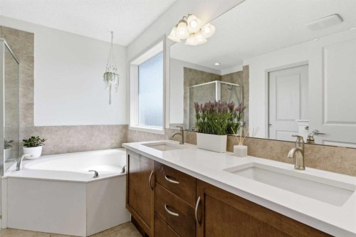 69 Everoak Circle Sw, Calgary, AB - Indoor Photo Showing Bathroom