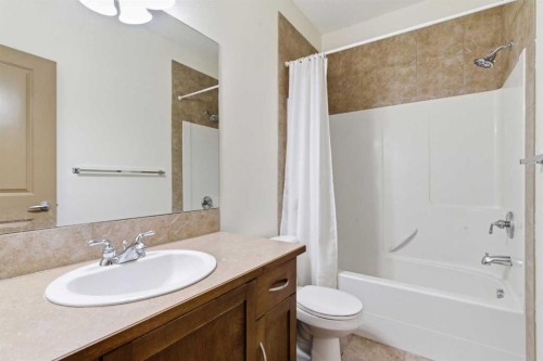 69 Everoak Circle Sw, Calgary, AB - Indoor Photo Showing Bathroom