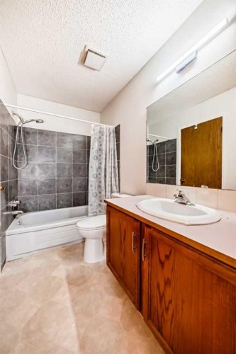 314 Castleridge Drive Ne, Calgary, AB - Indoor Photo Showing Bathroom