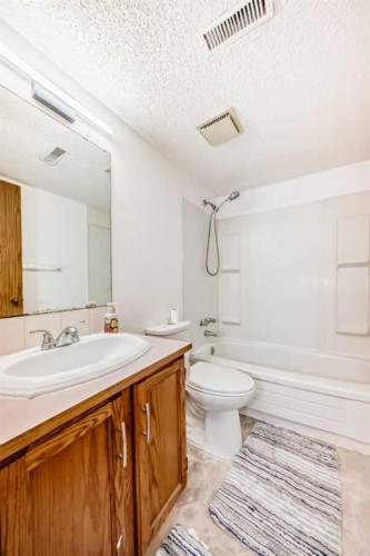 314 Castleridge Drive Ne, Calgary, AB - Indoor Photo Showing Bathroom