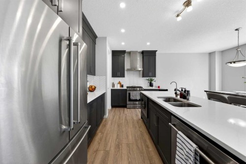 95 Carrington Close Nw, Calgary, AB - Indoor Photo Showing Kitchen With Double Sink With Upgraded Kitchen