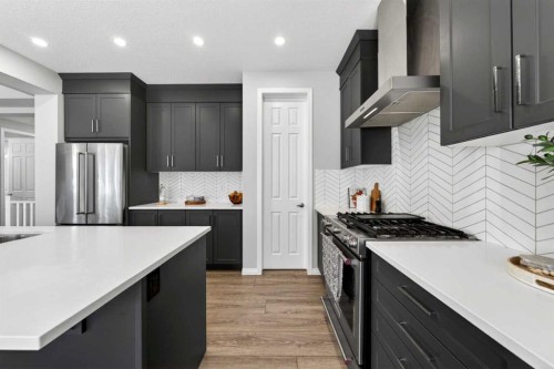 95 Carrington Close Nw, Calgary, AB - Indoor Photo Showing Kitchen With Upgraded Kitchen