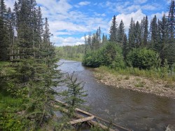 403-29542 Range Rd 52 Rural Mountain View County, AB T0M 2E0