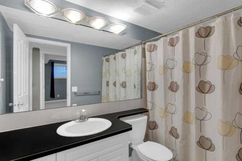 63 Mt Assiniboine Circle Se, Calgary, AB - Indoor Photo Showing Bathroom
