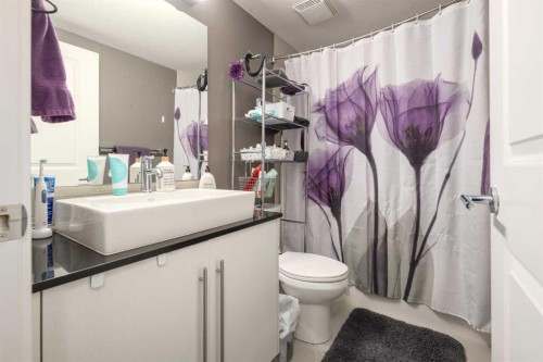 2105-11 Mahogany Row Se, Calgary, AB - Indoor Photo Showing Bathroom