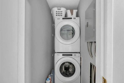 307-903 19 Avenue Sw, Calgary, AB - Indoor Photo Showing Laundry Room