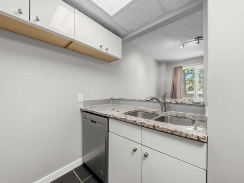 202-829 Coach Bluff Crescent Sw, Calgary, AB - Indoor Photo Showing Kitchen With Double Sink