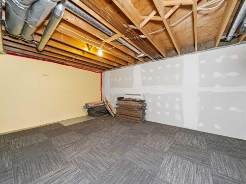 202-829 Coach Bluff Crescent Sw, Calgary, AB - Indoor Photo Showing Basement
