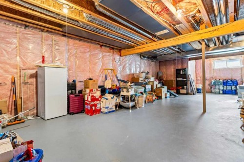 86 Copperpond Heights Se, Calgary, AB - Indoor Photo Showing Basement