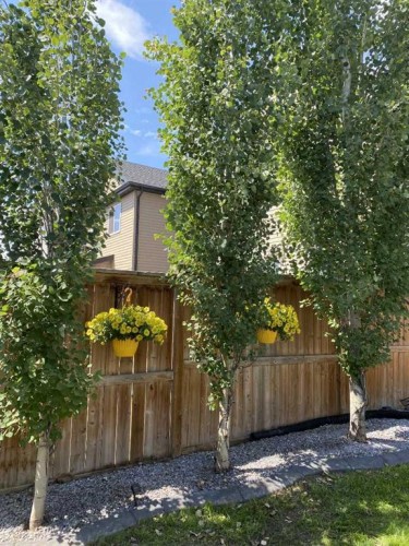 86 Copperpond Heights Se, Calgary, AB - Outdoor