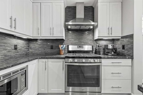 86 Copperpond Heights Se, Calgary, AB - Indoor Photo Showing Kitchen With Upgraded Kitchen