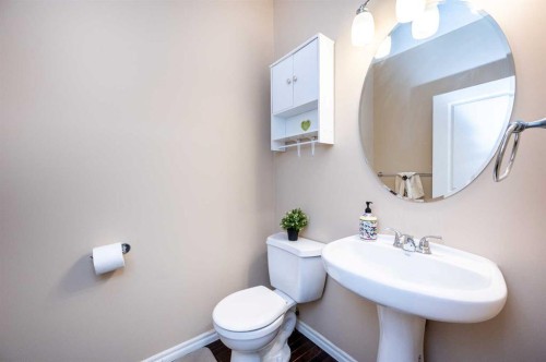 57 Skyview Point Common Ne, Calgary, AB - Indoor Photo Showing Bathroom