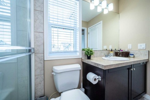 57 Skyview Point Common Ne, Calgary, AB - Indoor Photo Showing Bathroom