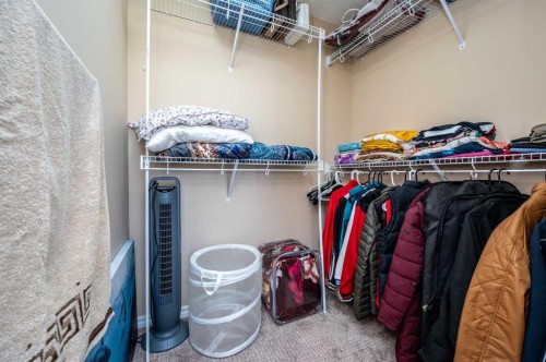 57 Skyview Point Common Ne, Calgary, AB - Indoor With Storage
