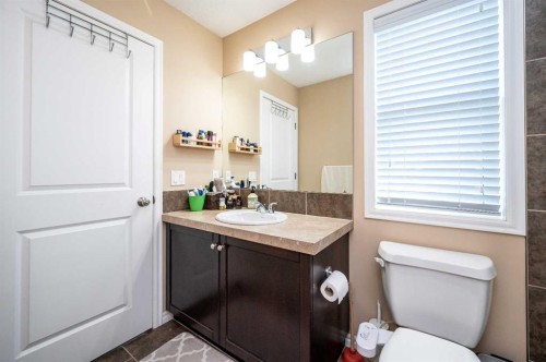 57 Skyview Point Common Ne, Calgary, AB - Indoor Photo Showing Bathroom