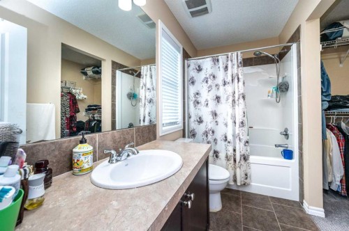 57 Skyview Point Common Ne, Calgary, AB - Indoor Photo Showing Bathroom