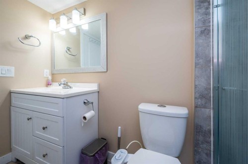 57 Skyview Point Common Ne, Calgary, AB - Indoor Photo Showing Bathroom