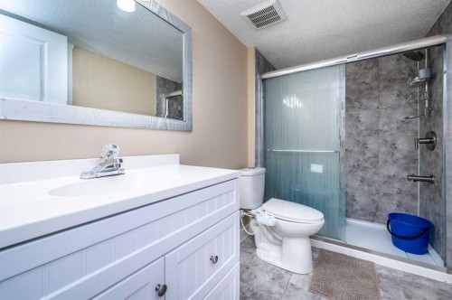 57 Skyview Point Common Ne, Calgary, AB - Indoor Photo Showing Bathroom