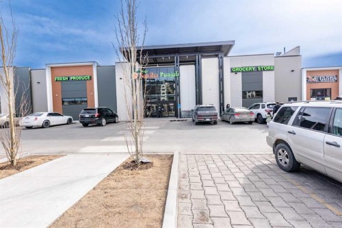 57 Skyview Point Common Ne, Calgary, AB - Outdoor