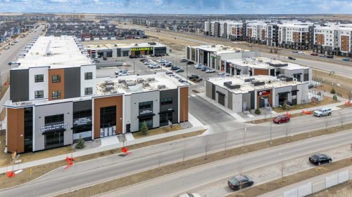57 Skyview Point Common Ne, Calgary, AB - Outdoor