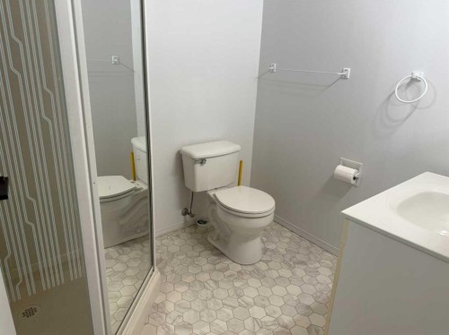 2-717 Centre Street, Vulcan, AB - Indoor Photo Showing Bathroom