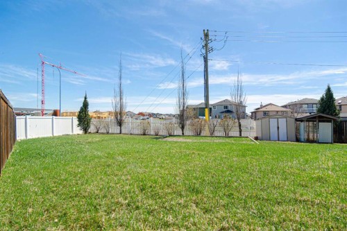 133 Saddlefield Place Ne, Calgary, AB - Outdoor