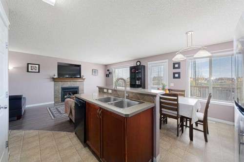 133 Saddlefield Place Ne, Calgary, AB - Indoor With Fireplace