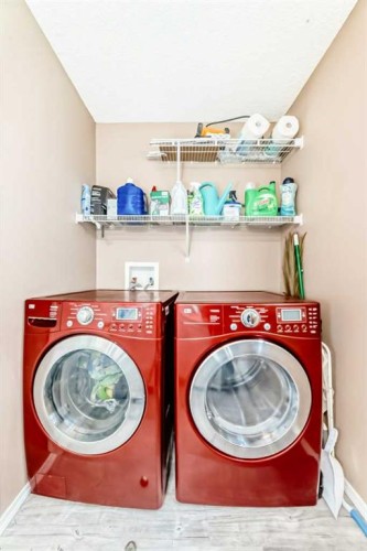 32 Saddlebrook Place Ne, Calgary, AB - Indoor Photo Showing Laundry Room