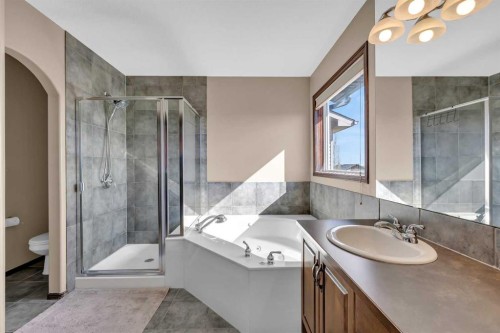 92 Everoak Close Sw, Calgary, AB - Indoor Photo Showing Bathroom
