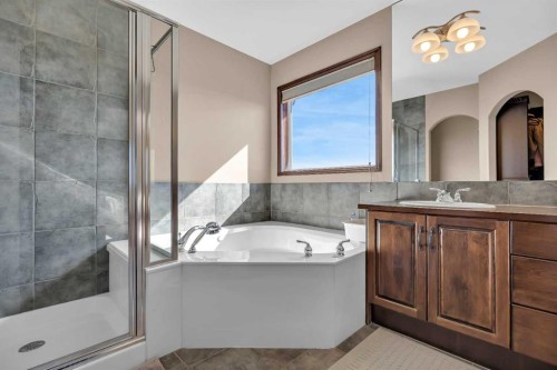 92 Everoak Close Sw, Calgary, AB - Indoor Photo Showing Bathroom