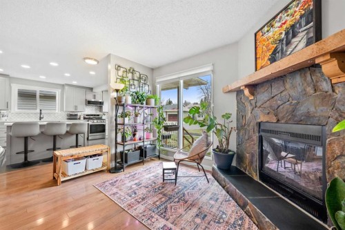 11 Deersaxon Circle Se, Calgary, AB - Indoor Photo Showing Living Room With Fireplace