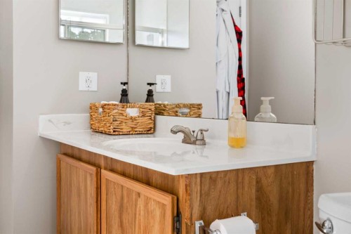 11 Deersaxon Circle Se, Calgary, AB - Indoor Photo Showing Bathroom