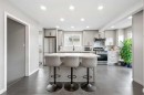 11 Deersaxon Circle Se, Calgary, AB  - Indoor Photo Showing Kitchen With Upgraded Kitchen 