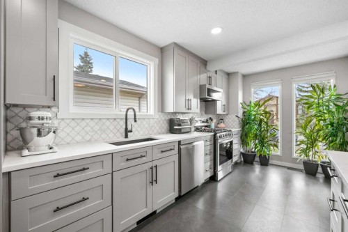 11 Deersaxon Circle Se, Calgary, AB - Indoor Photo Showing Kitchen With Upgraded Kitchen