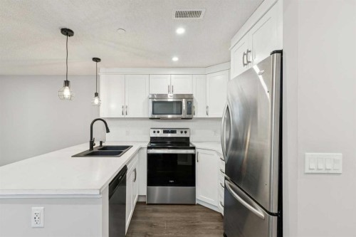 288 Lucas Avenue, Calgary, AB - Indoor Photo Showing Kitchen With Double Sink With Upgraded Kitchen