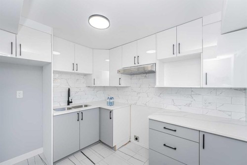 6403 Centre Street Nw, Calgary, AB - Indoor Photo Showing Kitchen With Double Sink