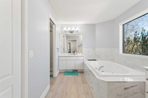 48 Douglas Park Boulevard Se, Calgary, AB - Indoor Photo Showing Bathroom