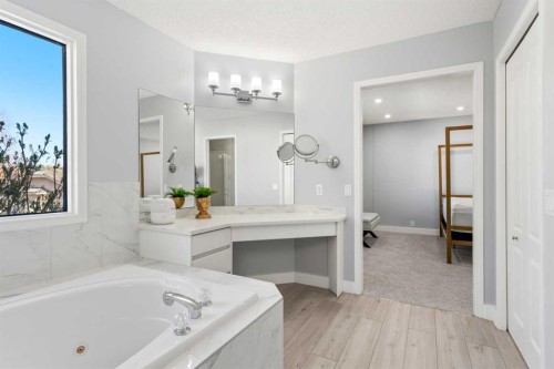 48 Douglas Park Boulevard Se, Calgary, AB - Indoor Photo Showing Bathroom