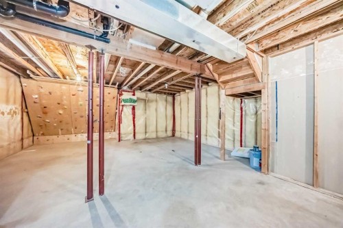 42 Harvest Rose Place Ne, Calgary, AB - Indoor Photo Showing Basement
