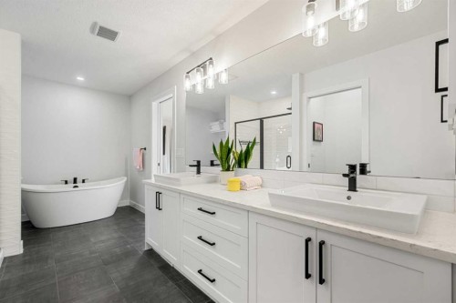 851 Seton Circle Se, Calgary, AB - Indoor Photo Showing Bathroom