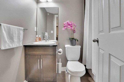 414-7210 80 Avenue Ne, Calgary, AB - Indoor Photo Showing Bathroom