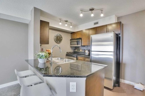 414-7210 80 Avenue Ne, Calgary, AB - Indoor Photo Showing Kitchen With Double Sink With Upgraded Kitchen