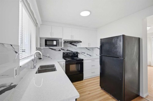 6016 Martingrove Road Ne, Calgary, AB - Indoor Photo Showing Kitchen With Double Sink