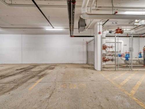 110-660 Shawnee Square Sw, Calgary, AB - Indoor Photo Showing Garage