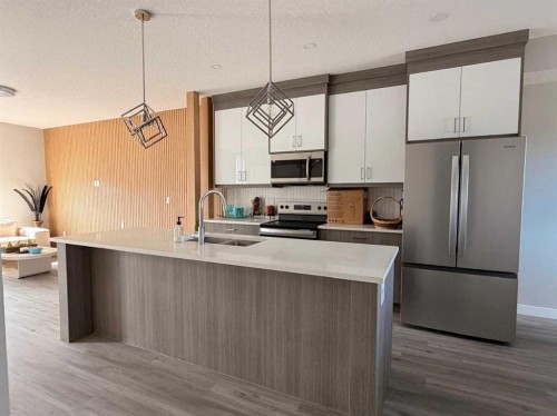 30 Red Sky Manor Ne, Calgary, AB - Indoor Photo Showing Kitchen With Stainless Steel Kitchen With Double Sink With Upgraded Kitchen